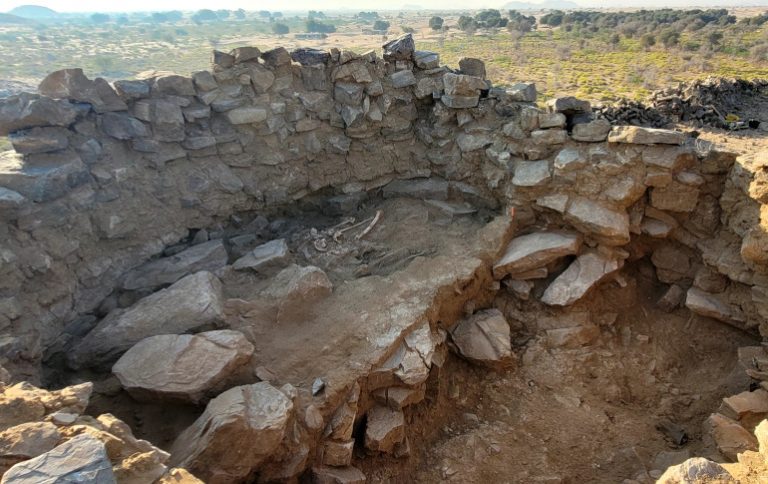 Wadi Hasid – 2024