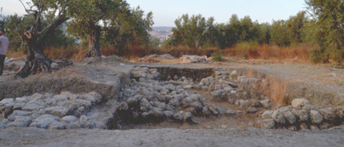DCIM100MEDIADJI_0008.JPG
